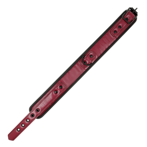 Fetish Submissive Kettinghalsband met Neopreenvoering voor BDSM Fetish Submissive Kettinghalsband met Neopreenvoering voor BDSM - Afbeelding 7