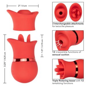 Calexotics French Kiss Suck & Play Set Auflegevibrator mit Saug- und Zungenfunktion Calexotics French Kiss Suck & Play Set Auflegevibrator mit Saug- und Zungenfunktion – Bild 3