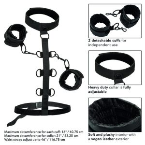 Calexotics Boundless Kragenkörperführung mit Handschellen und Fesselgurt Calexotics Boundless Kragenkörperführung mit Handschellen und Fesselgurt – Bild 6