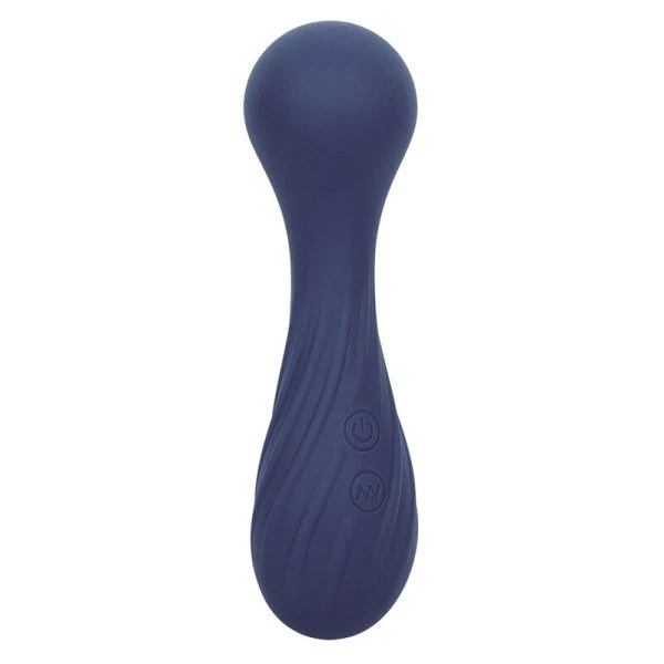Calexotics Charisma Temptation Massager met 12 functies, paars