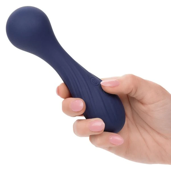 Calexotics Charisma Temptation Massager met 12 functies, paars