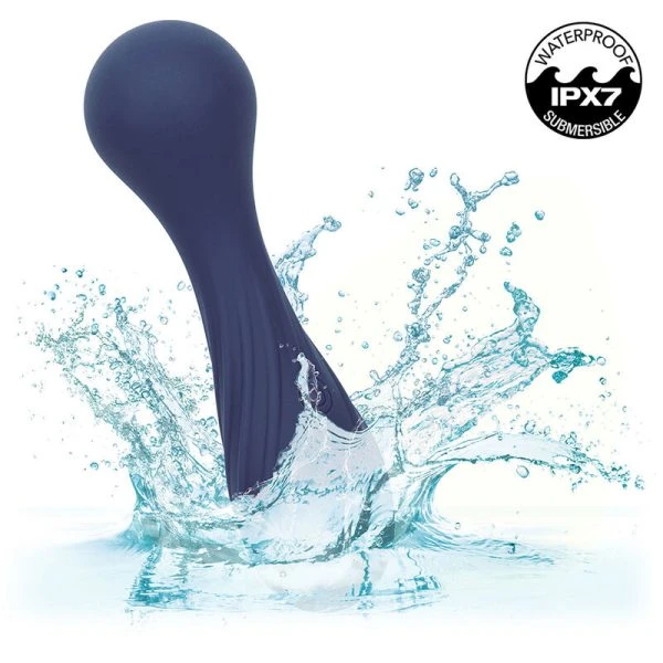 Calexotics Charisma Temptation Massager met 12 functies, paars