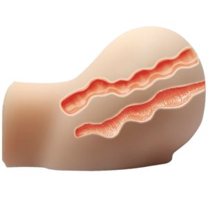 Crazy Bull Masturbator Torso with Realistic Vagina and Anus plus Vibration Crazy Bull Masturbator Torso with Realistic Vagina and Anus plus Vibration - Image 6