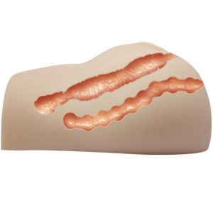Crazy Bull Masturbator Torso met Vagina en Anus en Vibratie Crazy Bull Masturbator Torso met Vagina en Anus en Vibratie - Afbeelding 5