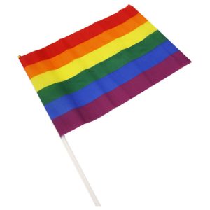 Pride LGBT-vlag wimpel voor feesten Pride LGBT-vlag wimpel voor feesten - Afbeelding 1
