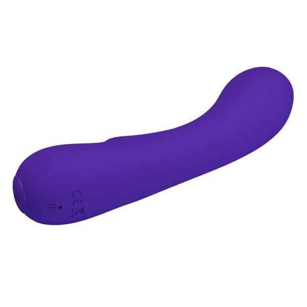 Pretty Love Prescott Oplaadbare Vibrator van Siliconen, Paars Pretty Love Prescott Oplaadbare Vibrator van Siliconen, Paars