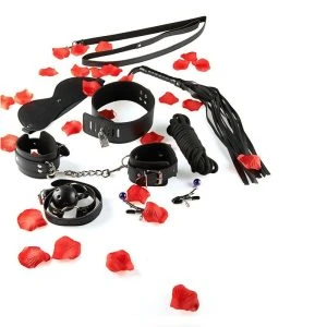 Toyjoy BDSM-starterset voor beginners met masker en zweep
