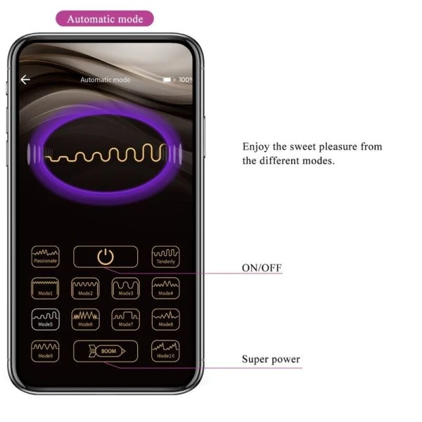 Pretty Love Paarvibrator Jayleen mit App-Fernbedienung Lila