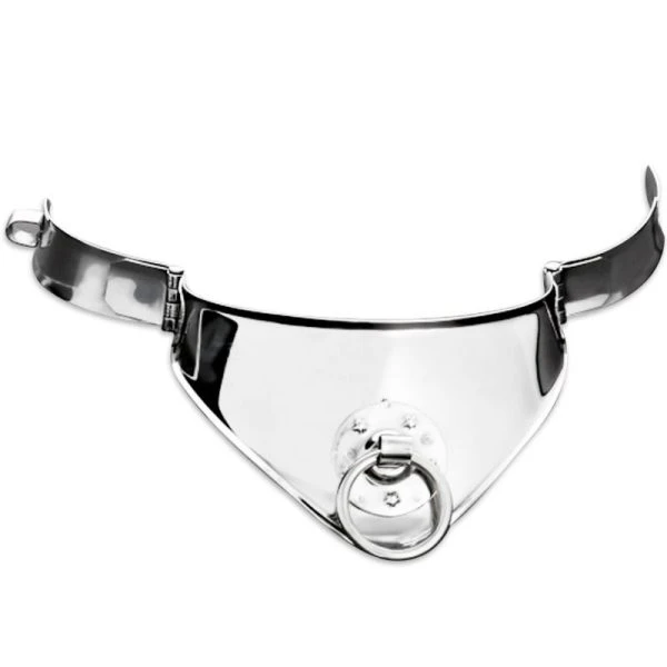Metal Hard Vaste Halsband met Ring en Hangslot 12,5 cm