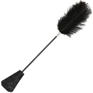 Darkness Zwarte Rijzweep met Liefdesveer 56 cm