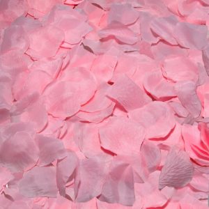 Diablo Picante 100 rosa Blütenblätter für erotische Überraschungen Diablo Picante 100 rosa Blütenblätter für erotische Überraschungen – Bild 1