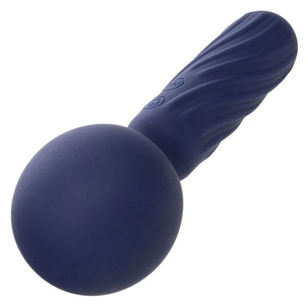 Calexotics Charisma Seduction Massager met 12 functies, siliconen, paars