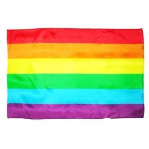 Pride LGBT-vlag Regenboog Party Decoratie