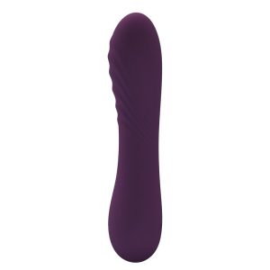 Pretty Love Alexisrose Vibrator met 10 functies, siliconen, paars Pretty Love Alexisrose Vibrator met 10 functies, siliconen, paars - Afbeelding 4
