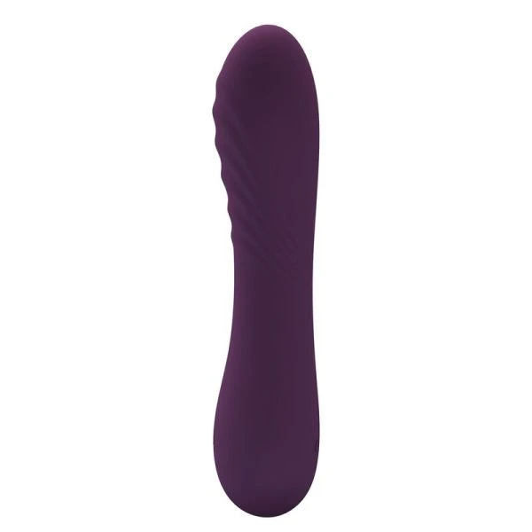 Pretty Love Alexisrose Vibrator met 10 functies, siliconen, paars