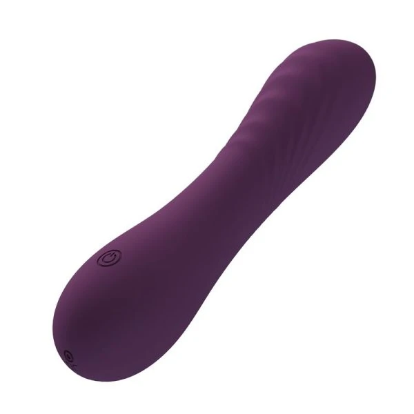 Pretty Love Alexisrose Vibrator met 10 functies, siliconen, paars
