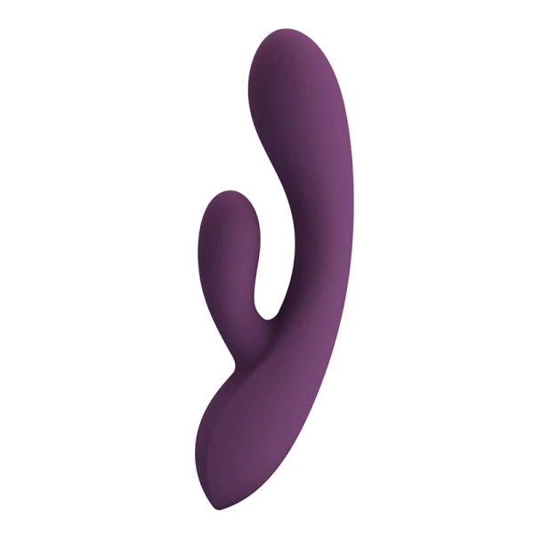 Pretty Love Rosolyn Oplaadbare Konijnenvibrator met 10 functies, paars