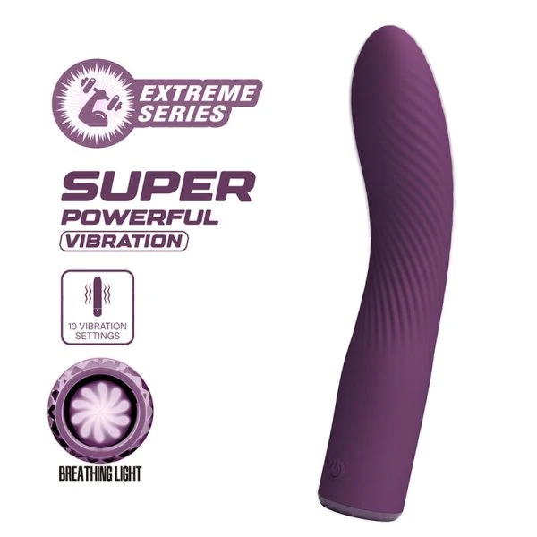 Pretty Love Kissell Vibrator mit 10 Funktionen, Silikon, Lila Pretty Love Kissell Vibrator mit 10 Funktionen, Silikon, Lila